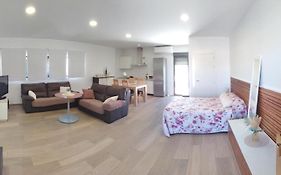 Loft para 2 personas con cocina americana con gran luminosidad, TV 42, cama de matrimonio con colchón de buena calidad, dos sofás grandes y comodos , con baño con plato de ducha,chimenea interior y 2terrazas de unos 50 metros y barbacoa exterior,pre